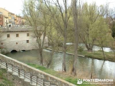 Ribera del Duero - Visita enológica a Peñafiel; senderismo madrid singles; viajes de montaña